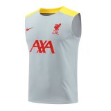 24/25 Liverpool  Dark  Gray  1:1 Quality Training Vest（A-Set）