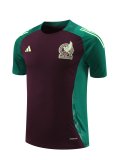 24/25    Mexico  Wine Red  And Green  1:1 Quality Training Jersey（A-Set）