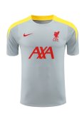 24/25  Liverpool Dark Gray  1:1 Quality Training Jersey（A-Set）