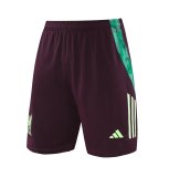 24/25    Mexico  Wine Red  And Green  1:1 Quality Training Jersey（A-Set）