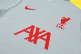 24/25  Liverpool Dark Gray  1:1 Quality Training Jersey（A-Set）