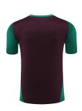 24/25    Mexico  Wine Red  And Green  1:1 Quality Training Jersey（A-Set）