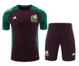 24/25    Mexico  Wine Red  And Green  1:1 Quality Training Jersey（A-Set）
