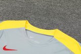 24/25  Liverpool Dark Gray  1:1 Quality Training Jersey（A-Set）