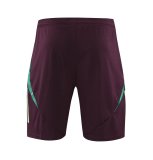 24/25    Mexico  Wine Red  And Green  1:1 Quality Training Jersey（A-Set）