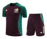24/25    Mexico  Wine Red  And Green  1:1 Quality Training Jersey（A-Set）