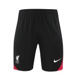 24/25 Liverpool  Dark  Gray  1:1 Quality Training Vest（A-Set）