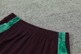 24/25    Mexico  Wine Red  And Green  1:1 Quality Training Jersey（A-Set）