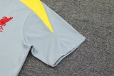 24/25  Liverpool Dark Gray  1:1 Quality Training Jersey（A-Set）