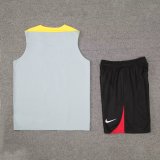 24/25 Liverpool  Dark  Gray  1:1 Quality Training Vest（A-Set）