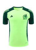 24/25  Mexico Green  And Burgundy  1:1 Quality Training Jersey（A-Set）