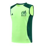 24/25  Mexico  Green And Burgundy 1:1 Quality Training Vest（A-Set）