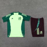 24/25  Mexico Green  And Burgundy  1:1 Quality Training Jersey（A-Set）
