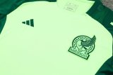 24/25  Mexico Green  And Burgundy  1:1 Quality Training Jersey（A-Set）