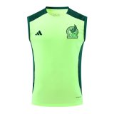 24/25  Mexico  Green And Burgundy 1:1 Quality Training Vest（A-Set）