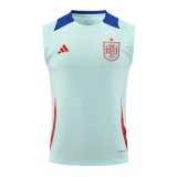24/25 Spain  Blue 1:1 Quality Training Jersey  Vest（A-Set）