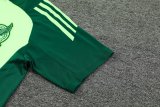 24/25  Mexico Green  And Burgundy  1:1 Quality Training Jersey（A-Set）