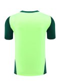 24/25  Mexico Green  And Burgundy  1:1 Quality Training Jersey（A-Set）