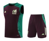24/25     Mexico  Wine Red And Green  1:1 Quality Training Vest（A-Set）
