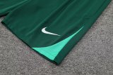 24/25  Portugal Green1:1 Quality Training Vest（A-Set）