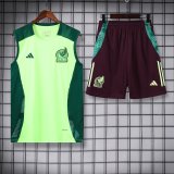 24/25  Mexico  Green And Burgundy 1:1 Quality Training Vest（A-Set）