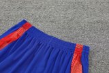 24/25 Spain  Blue 1:1 Quality Training Jersey（A-Set）