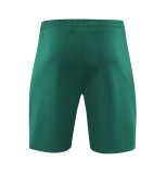 24/25  Portugal Green1:1 Quality Training Vest（A-Set）