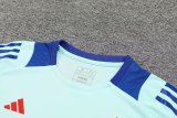 24/25 Spain  Blue 1:1 Quality Training Jersey（A-Set）