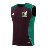 24/25     Mexico  Wine Red And Green  1:1 Quality Training Vest（A-Set）
