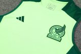 24/25  Mexico  Green And Burgundy 1:1 Quality Training Vest（A-Set）