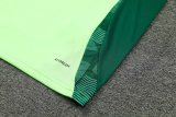 24/25  Mexico Green  And Burgundy  1:1 Quality Training Jersey（A-Set）