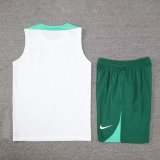 24/25  Portugal  White And Green1:1 Quality Training Vest（A-Set）