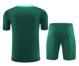 24/25  Portugal   Green  1:1 Quality Training （A-Set）
