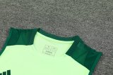 24/25  Mexico  Green And Burgundy 1:1 Quality Training Vest（A-Set）
