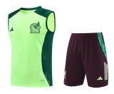 24/25  Mexico  Green And Burgundy 1:1 Quality Training Vest（A-Set）