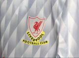 24/25  Liverpool Beatles Grey Special Edition Soccer Jersey