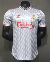 24/25  Liverpool Beatles Grey Special Edition Soccer Jersey