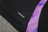 24/25 Germany  Black  1:1 Quality Training Vest（A-Set）