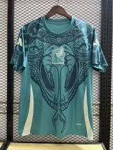 24/25 Mexico Green  Fans  1:1 Quality  Training Jersey