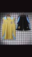 24/25 Argentina Yellow  Black 1:1 Quality Training Vest（A-Set）