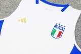 24/25  Italy Training Suit White  1:1 Quality Training Vest（A-Set