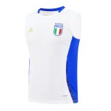 24/25  Italy Training Suit White  1:1 Quality Training Vest（A-Set