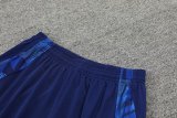 24/25 Italy Training Suit  Blue  1:1 Quality Training Vest（A-Set