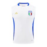 24/25  Italy Training Suit White  1:1 Quality Training Vest（A-Set