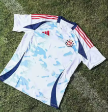 24/25 Costa Rica Away Fans Soccer Jersey