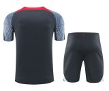 24/25  Liverpool  Grey 1:1 Quality Training Jersey（A-Set）