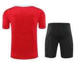 24/25 Barcelona Red 1:1 Quality Training Jersey（A-Set）