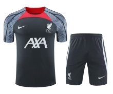 24/25  Liverpool  Grey 1:1 Quality Training Jersey（A-Set）