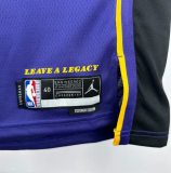 2025 Lakers JAMES JR. #9 Blue 1:1 Quality NBA Jersey热压