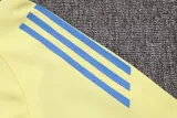 24/25  Ajax Training  Light Yellow 1:1 Quality Training Jersey